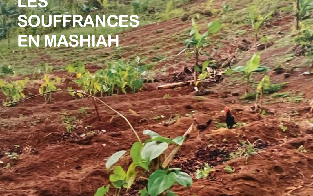 Les souffrances en Mashiah