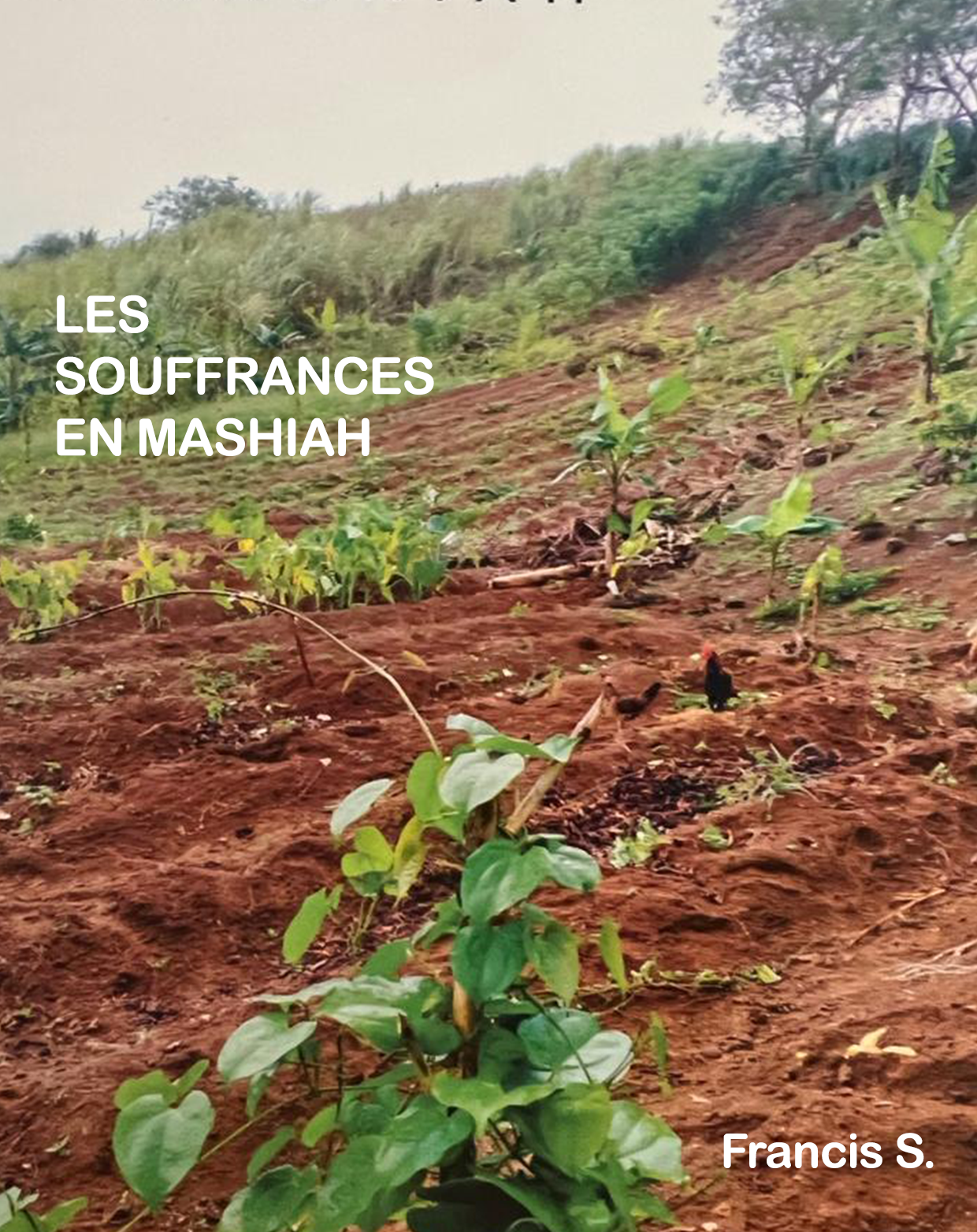 Les souffrances en Mashiah