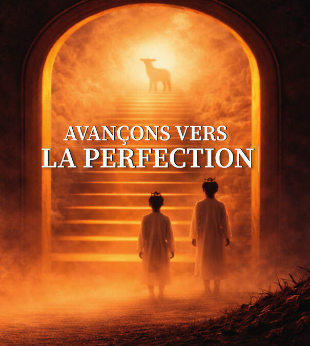 Avançons vers la perfection